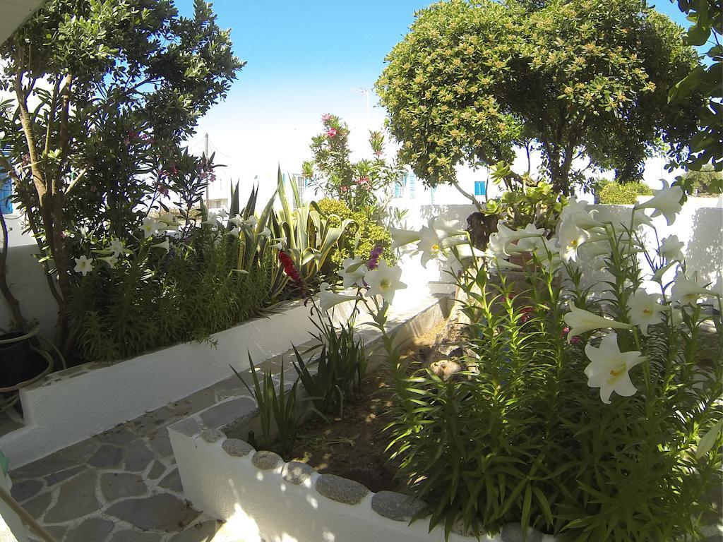 Kavaki Studios Mykonos Town Δωμάτιο φωτογραφία